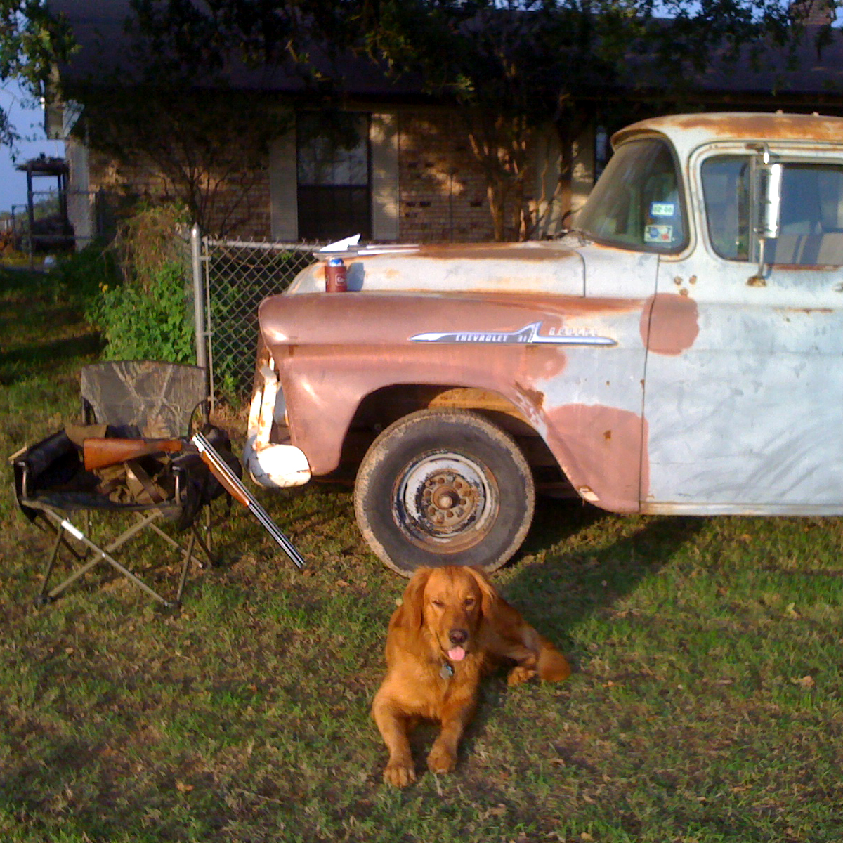 Dog and truck